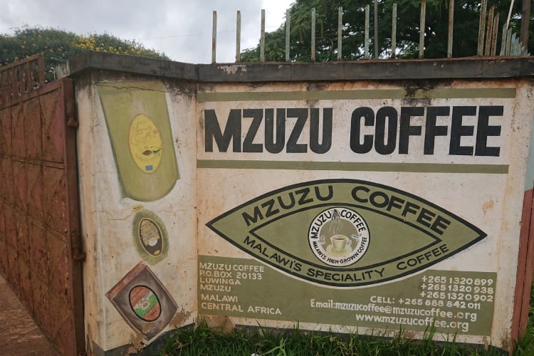 Mzuzu Coffee sign Malawi